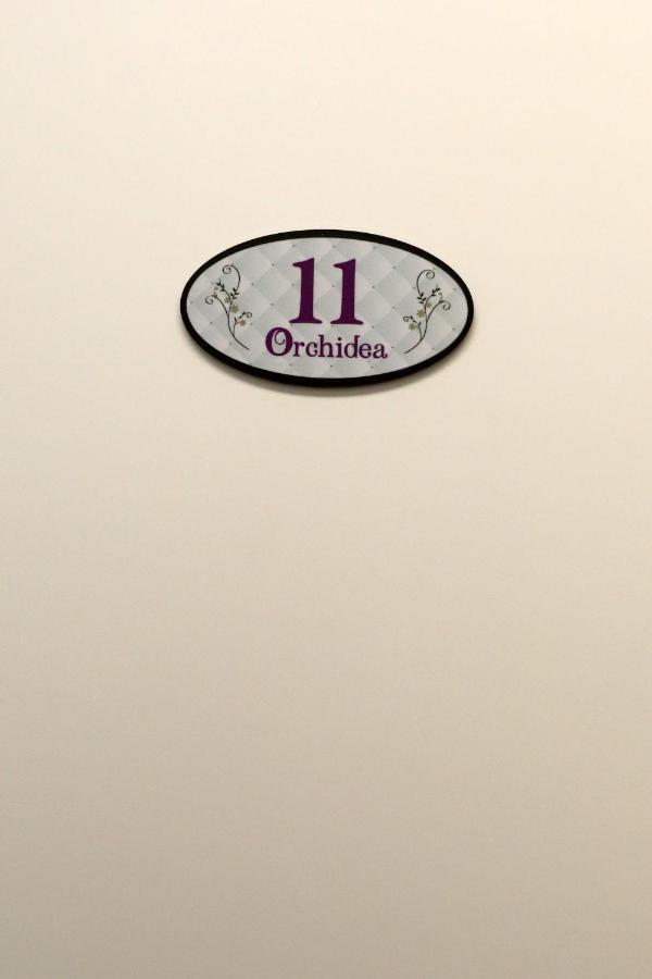 Orchidea Rooms & Suites ชิวิตาโนวา มาร์เค ภายนอก รูปภาพ